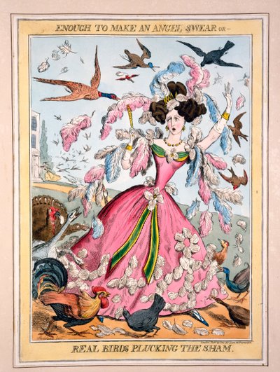 Enough to Make an Angel Swear, or, Real Birds Plucking the Sham by Robert Seymour